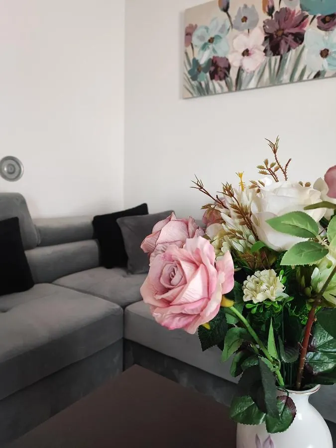 Apartment Eva Pula